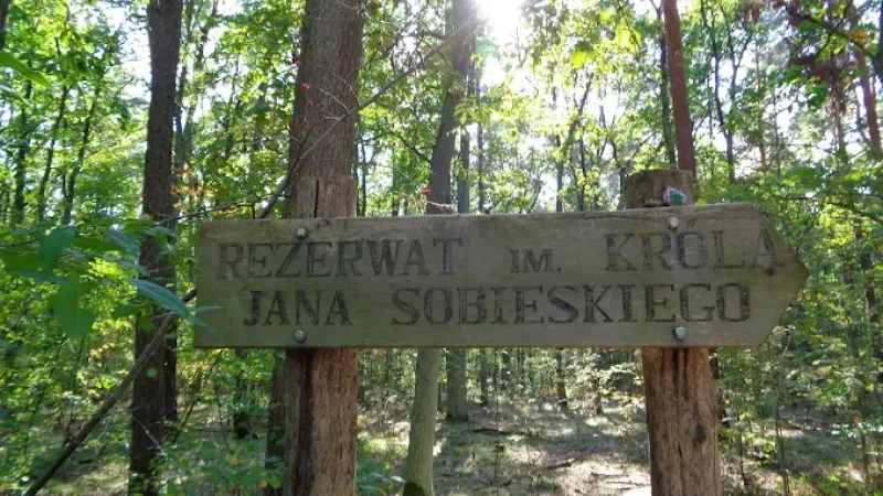Rezerwat im. Króla Jana Sobieskiego